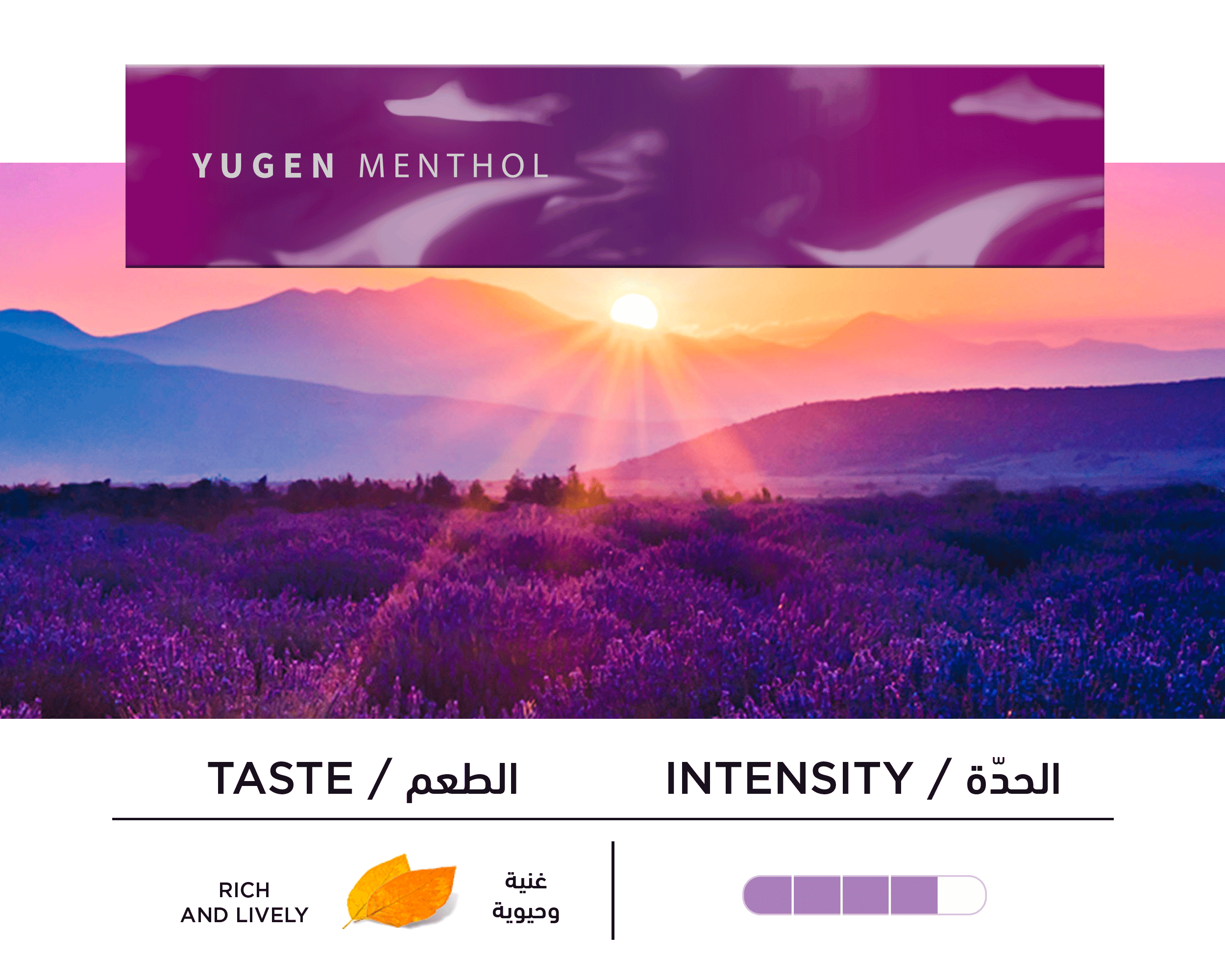 HEETS Tobacco Sticks Flavors in Kuwait IQOS Kuwait